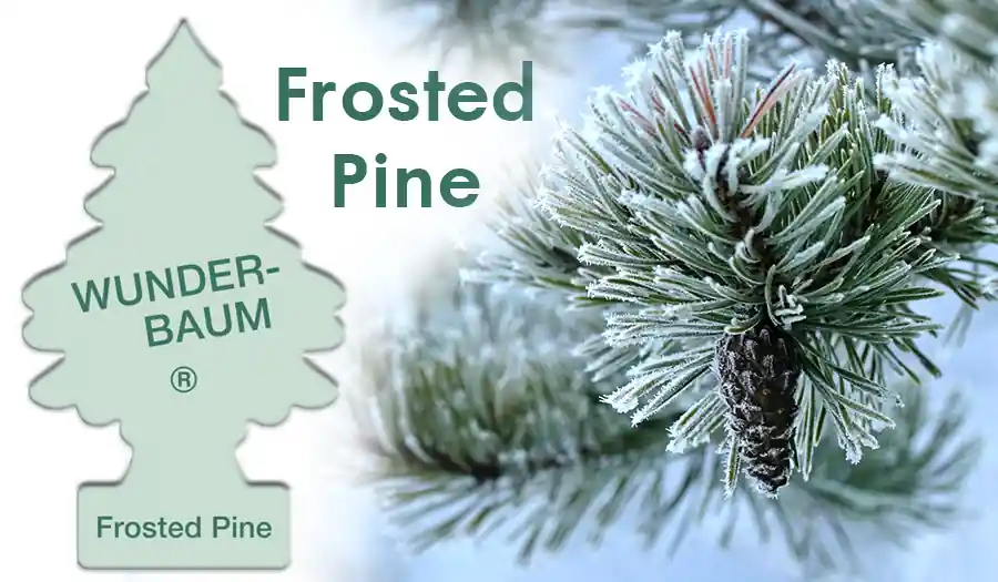 Ilmanraikastin Wunder Baum – Frosted Pine Tarjoushinta
