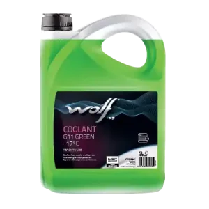 WOLF • 1053484 Poisto