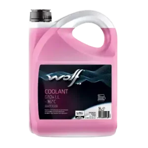 WOLF • 1052660 Jäähdytinneste Violetti G12 Plus 5L -36°C Flash-Tarjous