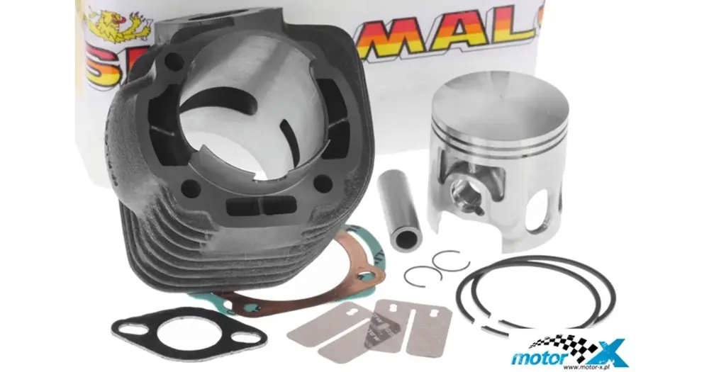 Sertifioitu Sylinterisarja 124cc tappi 14mm Malossi Sport Minarelli 100