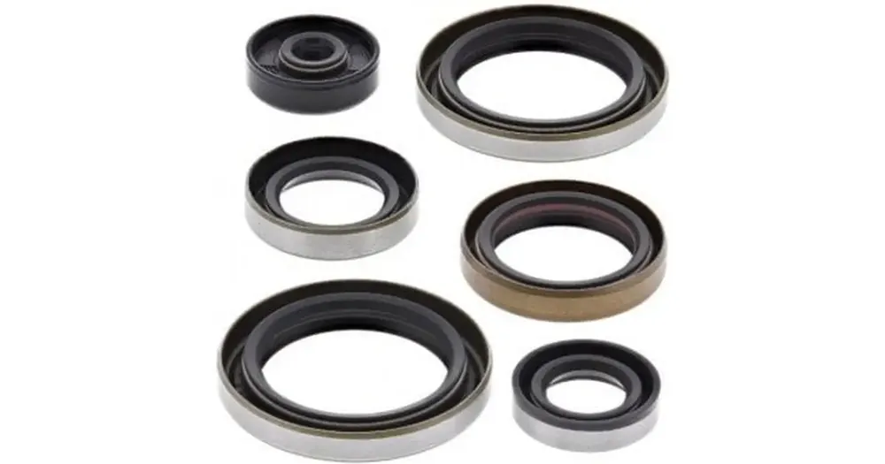 Moottorin tiivistesarja Winderosa 822317 Suzuki RM250 06-08 Halpa Hinta
